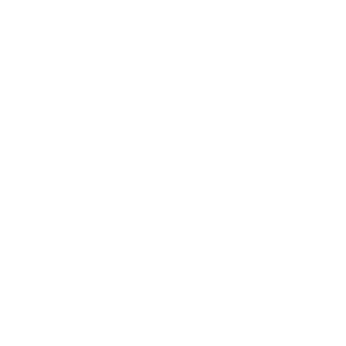 A Toda Madre